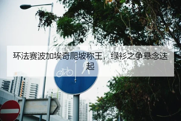 环法赛波加埃奇爬坡称王，绿衫之争悬念迭起